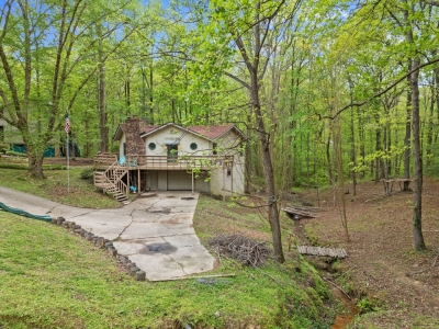 1954 Carver Drive, Greenbrier, TN