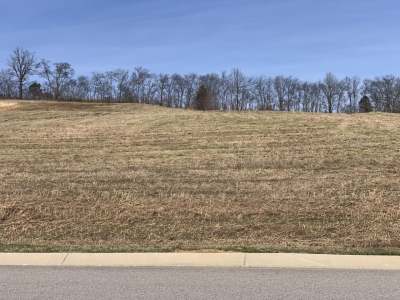 Nashville Highway, Columbia, TN