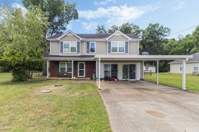 228 Eidolon Court, Christiana, TN