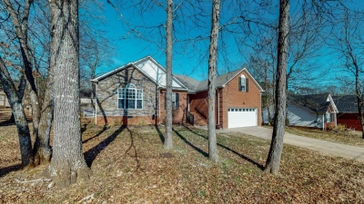 1502 Raylee Drive, Chapel Hill, TN