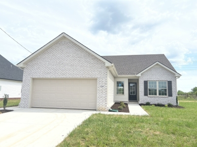 221 Meadowbrook Drive, Shelbyville, TN 