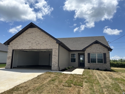 221 Meadowbrook Drive, Shelbyville, TN