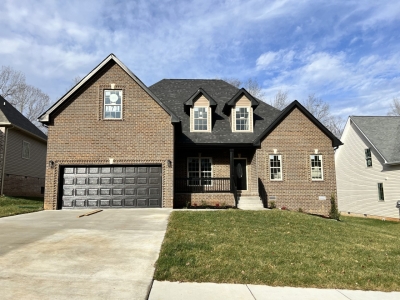 118 Jackbat Court, Clarksville, TN