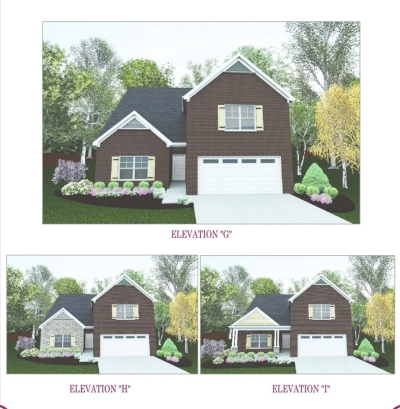 727 Rex Dr. Lot 317, Spring Hill, TN 