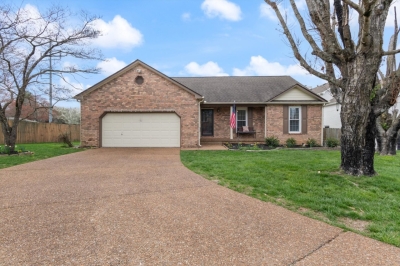 229 S Clematis Court, Franklin, TN