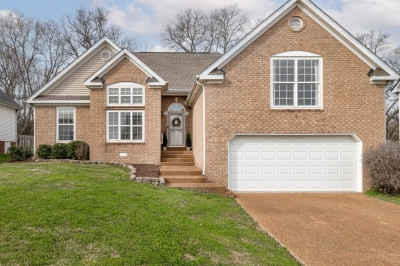 1008 Persimmon Drive, Spring Hill, TN