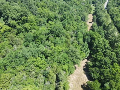 Gossburg Road, Beechgrove, TN