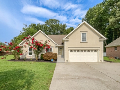 109 Brookview Court, Springfield, TN