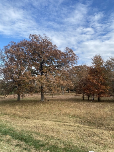 Hartsville Pike, Lebanon, TN