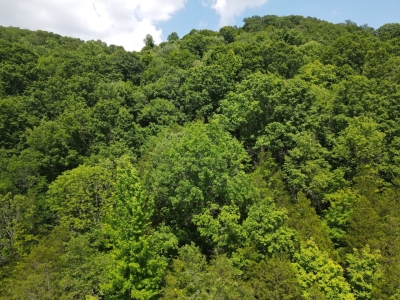 3400 Sycamore Creek Road, Woodbury, TN