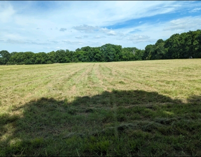 Phillips Road, Lewisburg, TN