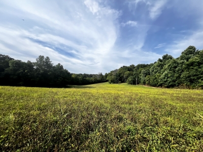 Powell Hollow Road, Tullahoma, TN