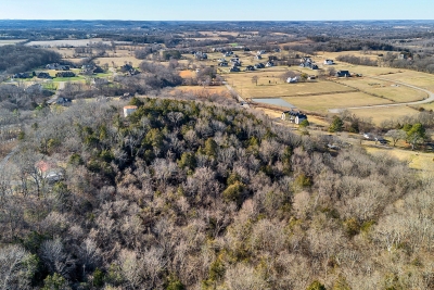 Bethesda Road, Thompsons Station, TN