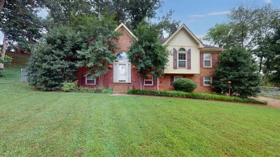 124 Fitzpatrick Court, Nashville, TN