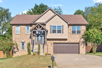 961 Bonellis Lane, Clarksville, TN