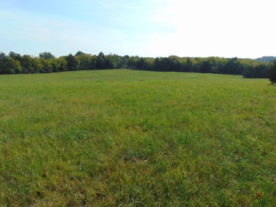 Ernest Campbell Road, Shelbyville, TN