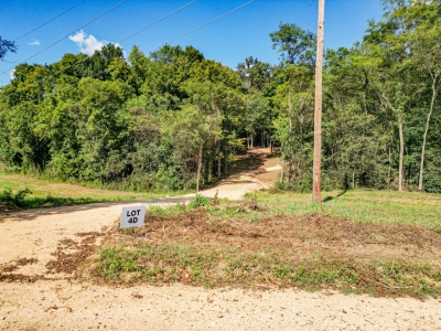 Old Hwy 7 Tract 4d, Columbia, TN