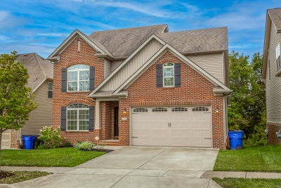 1748 Sandhurst Cove, Lexington, KY