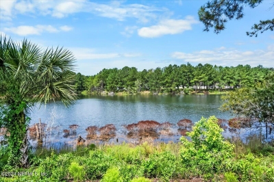 1434 Lake Foxmeadow Road, Middleburg, FL