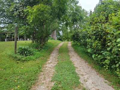 136 Old County Road, Quincy, KY 